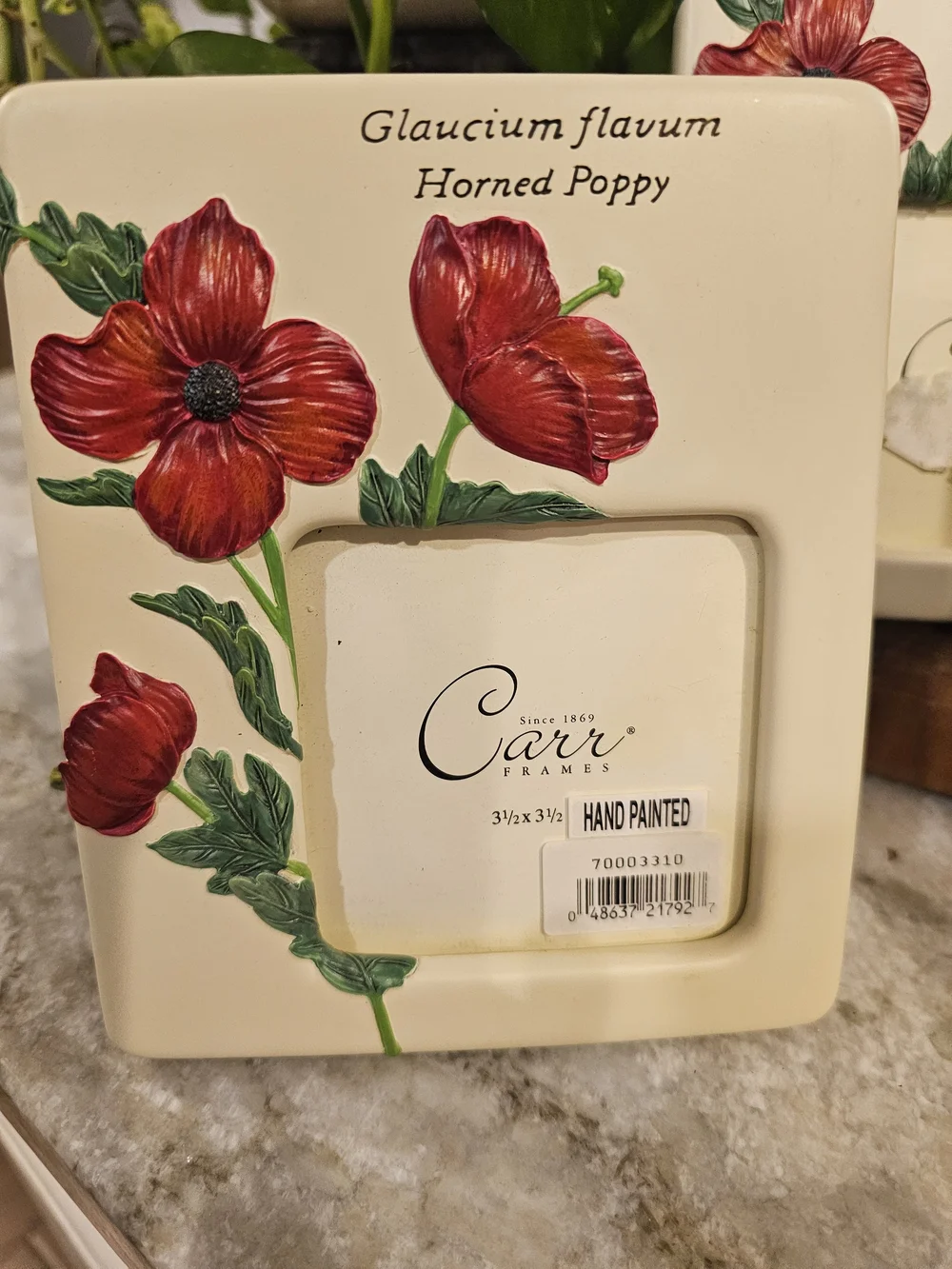 Red Poppy Hand-Painted Ceramic Photo Frame - Cream With Glass On It  Set Of 3